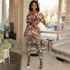 Regal Abstract Print Sheer Mesh Outfits 2 Piece